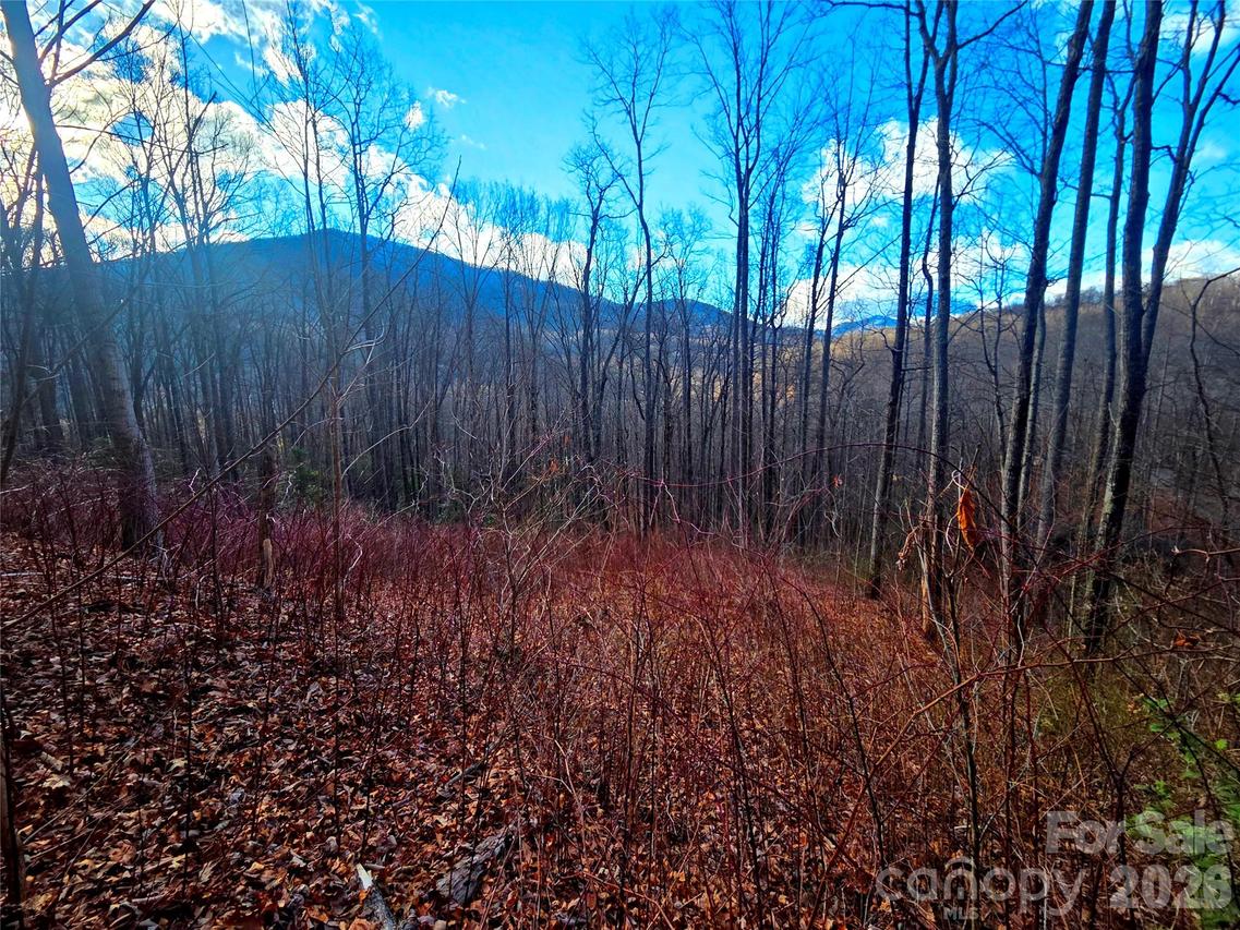 900 Fern Tr. #31, Waynesville, NC 28786