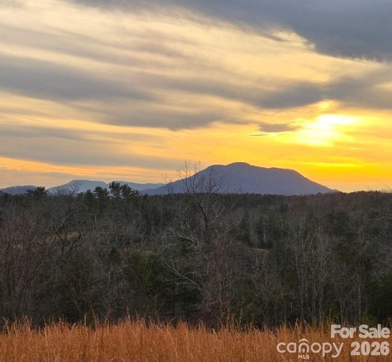 LOT #1 Price Summit Way, Mill Spring, NC 28756