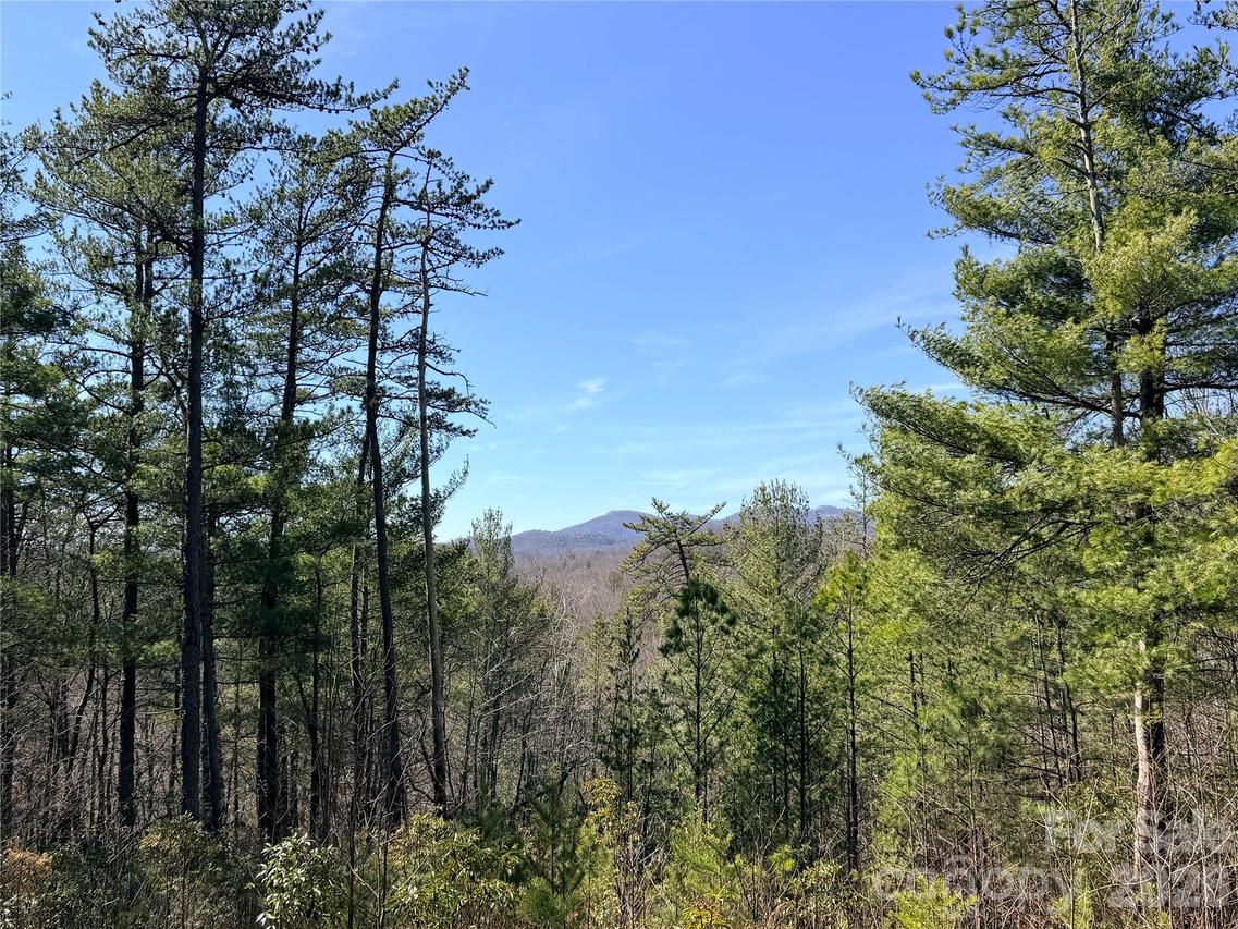 TBD Hidden Creek Rd. #18, Deep Gap, NC 28624