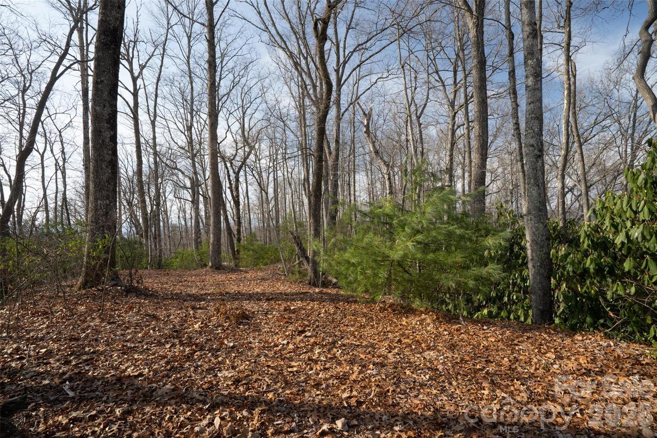 29 Open Ridge Tr., Pisgah Forest, NC 28768