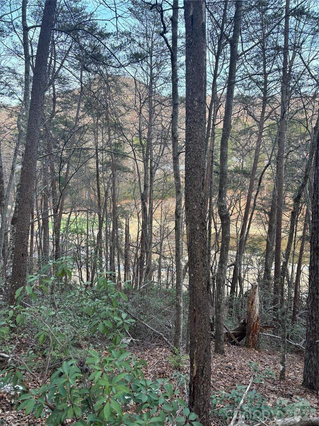 Lot 20 Nicklaus Ln., Lake Lure, NC 28746
