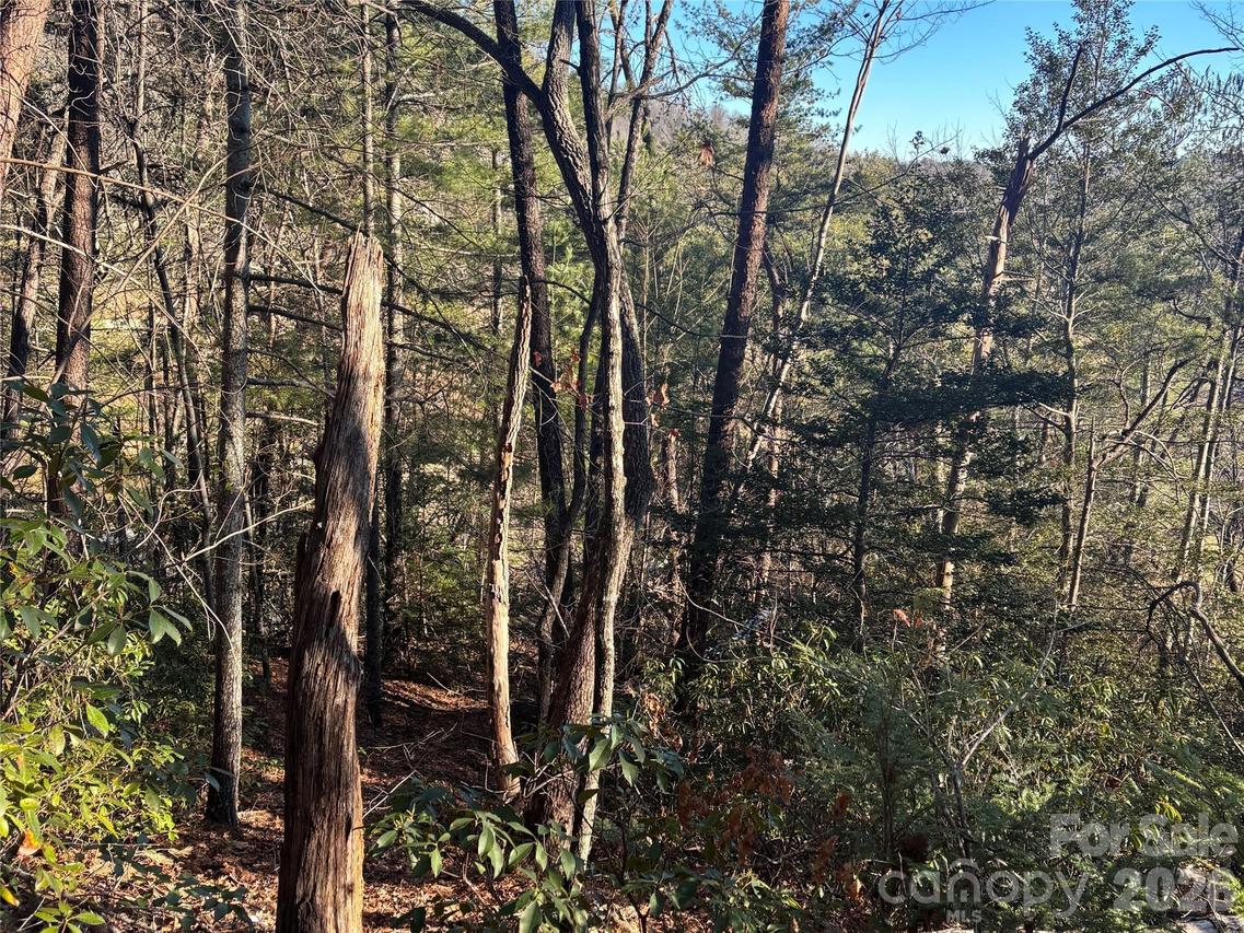 Lot 20 Nicklaus Ln., Lake Lure, NC 28746
