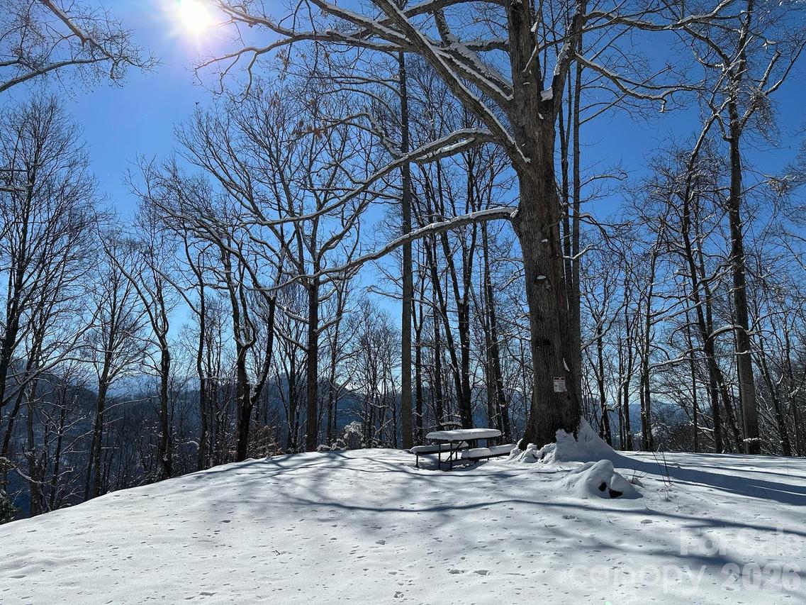 99999 North Fork Rd., Barnardsville, NC 28709