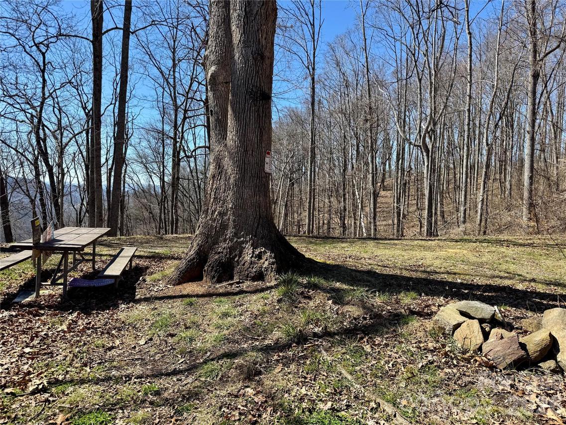 99999 North Fork Rd., Barnardsville, NC 28709