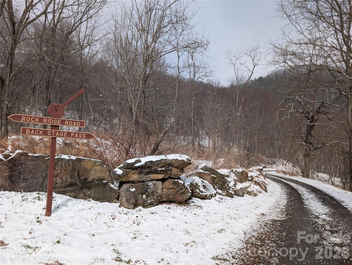 00 Bear Wallow Tr., Canton, NC 28716