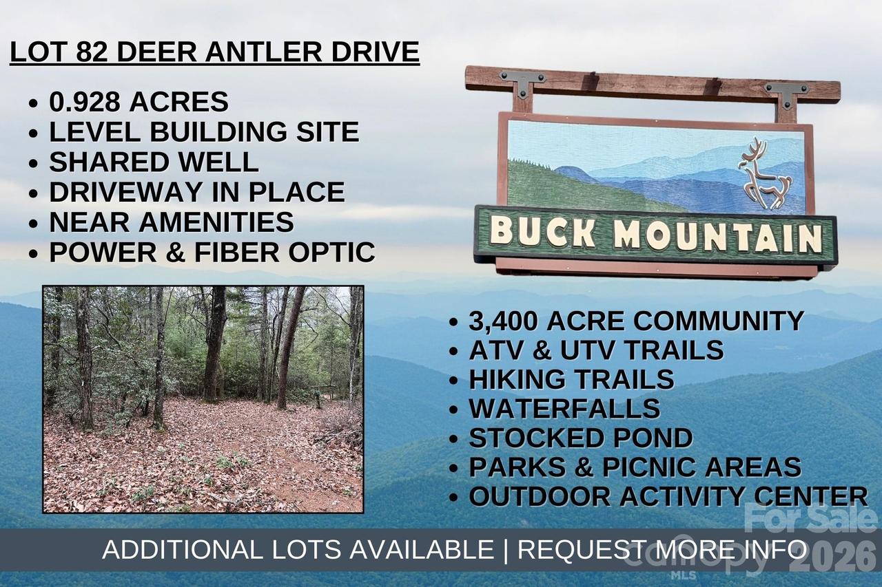 TBD Deer Antler Dr. #82, Purlear, NC 28665