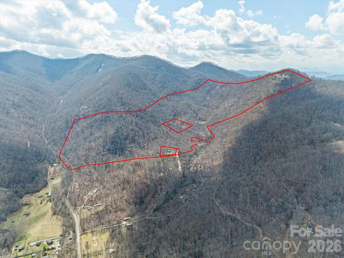 140 Wild Mountain Ln., Barnardsville, NC 28709