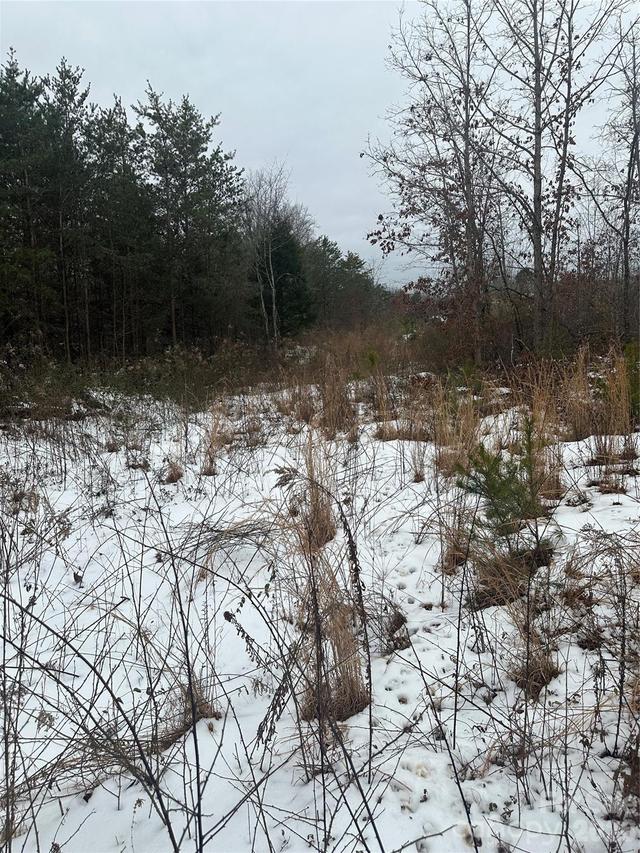 000 Norman Parker Rd., Lawndale, NC 28090