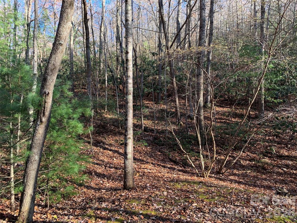 TBD (Lot 1) Dugger Firetower Rd. #1, Lenoir, NC 28645