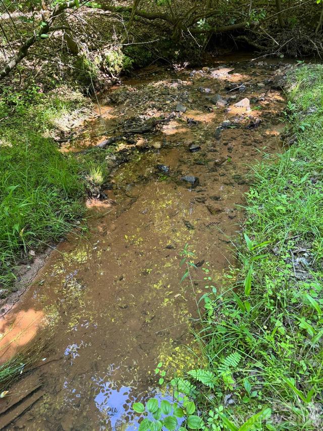 Lot 54 Billings Hill Church Rd., Traphill, NC 28683