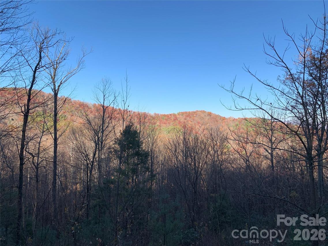 TBD (Lot 19) Wolf Den Ln. #19, Lenoir, NC 28645