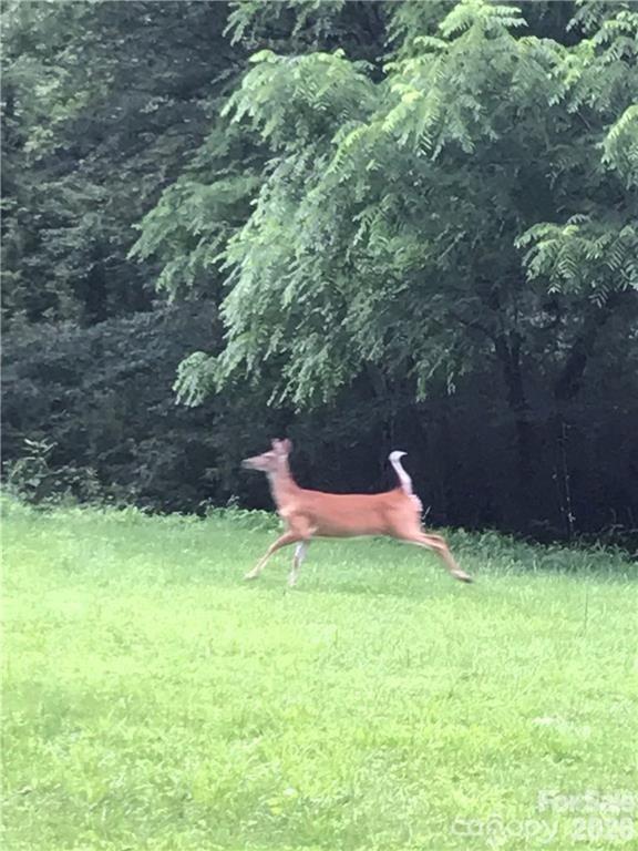 19 Laurel Loop Rd., Fairview, NC 28730