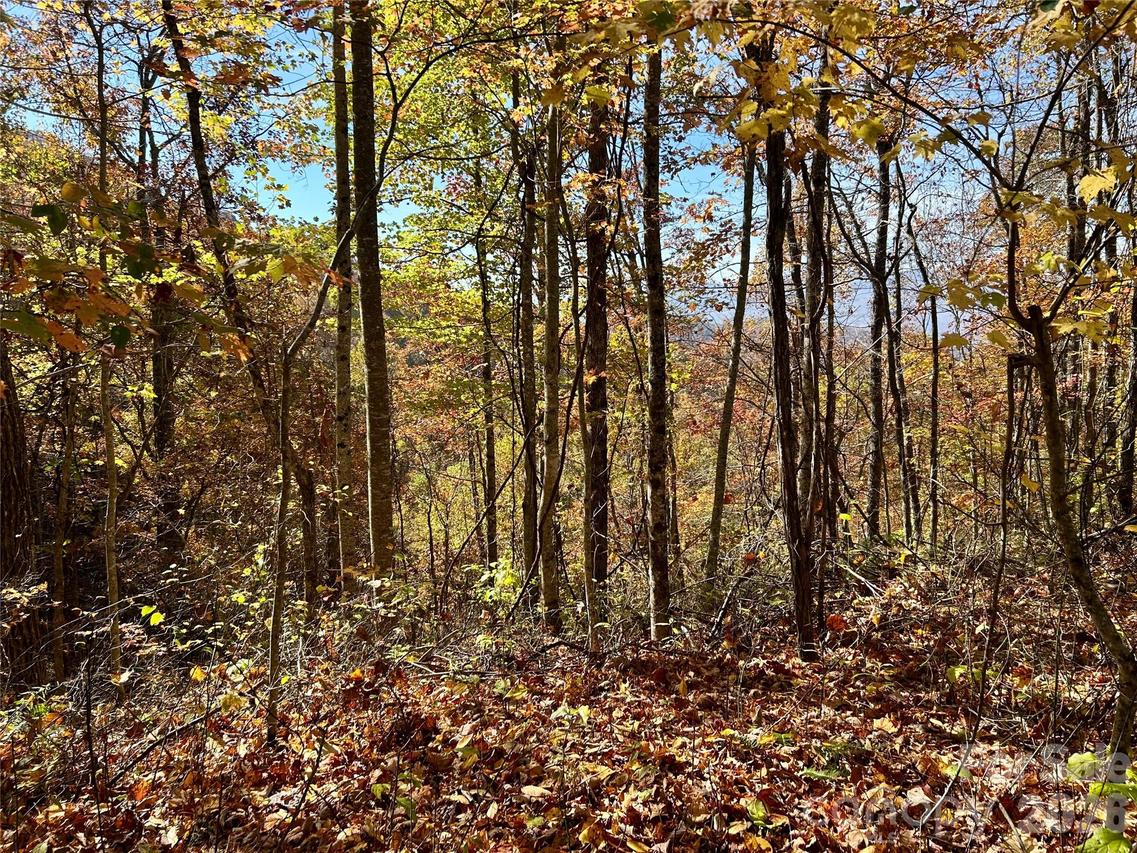 Owle View #30, Bryson City, NC 28713