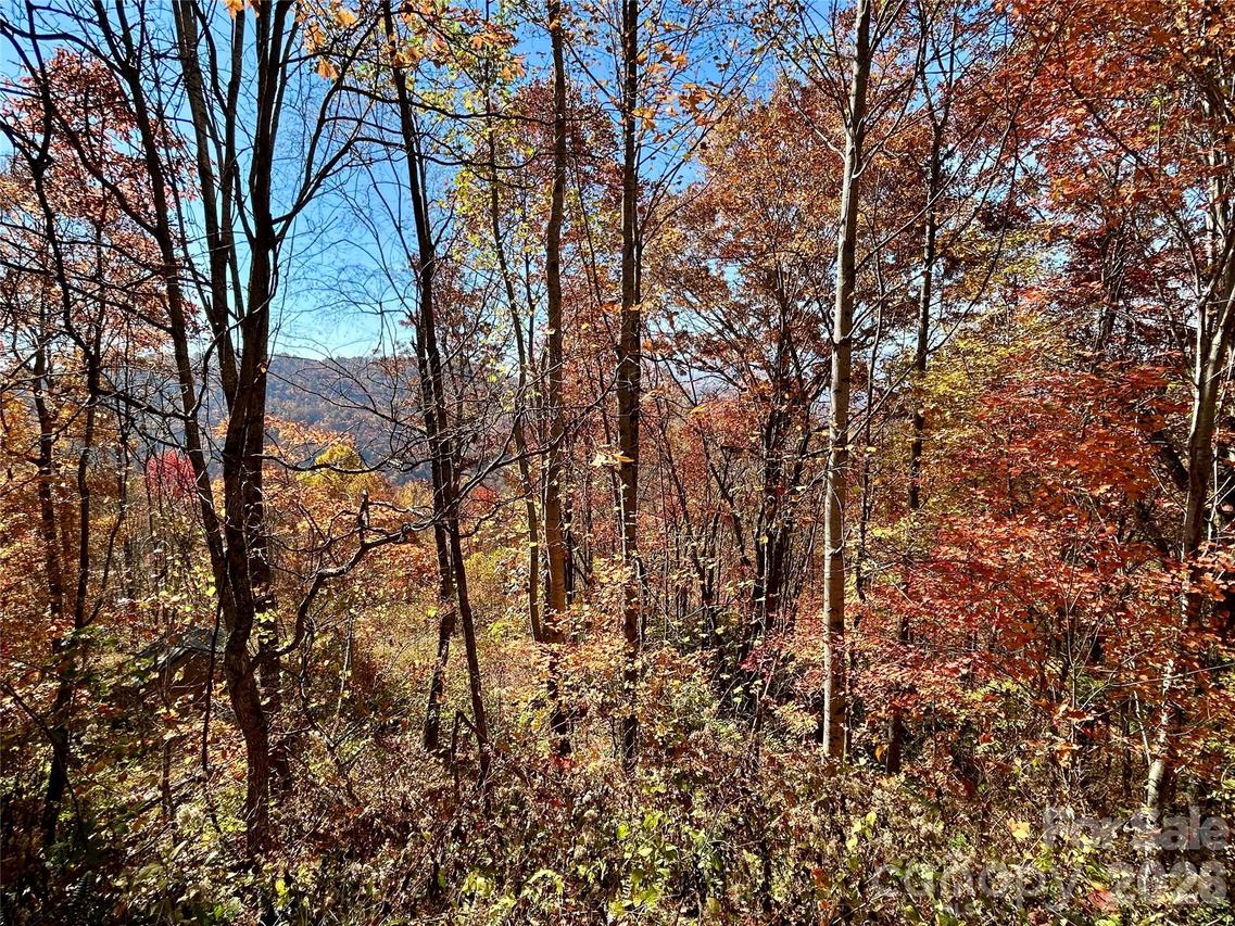 Grizzly Ridge #57, Bryson City, NC 28713