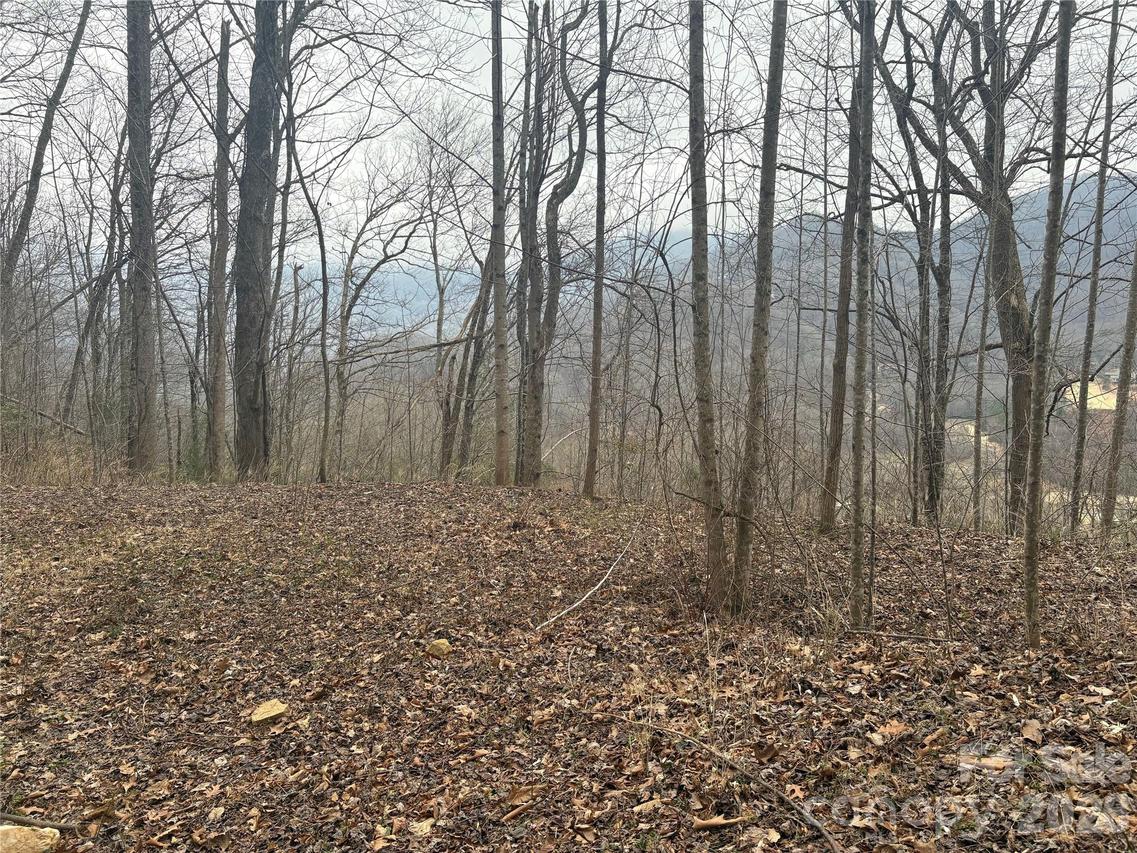 00 Country Club Dr. #11, Whittier, NC 28789