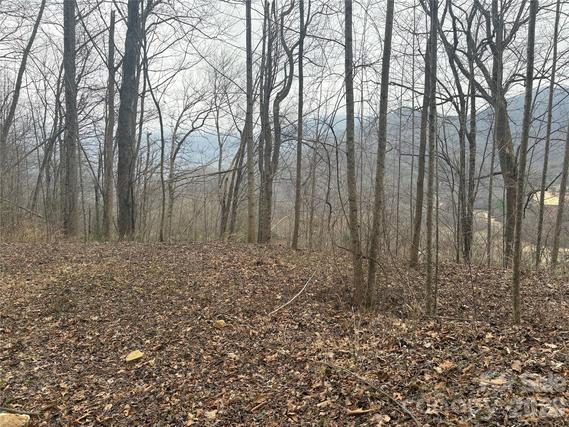 New Golf Course Lots For Sale in Whittier: February 24th to March 2nd