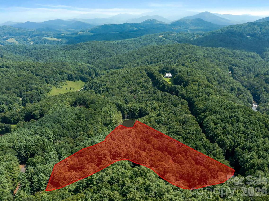 99999 Gordon Ln., Burnsville, NC 28714