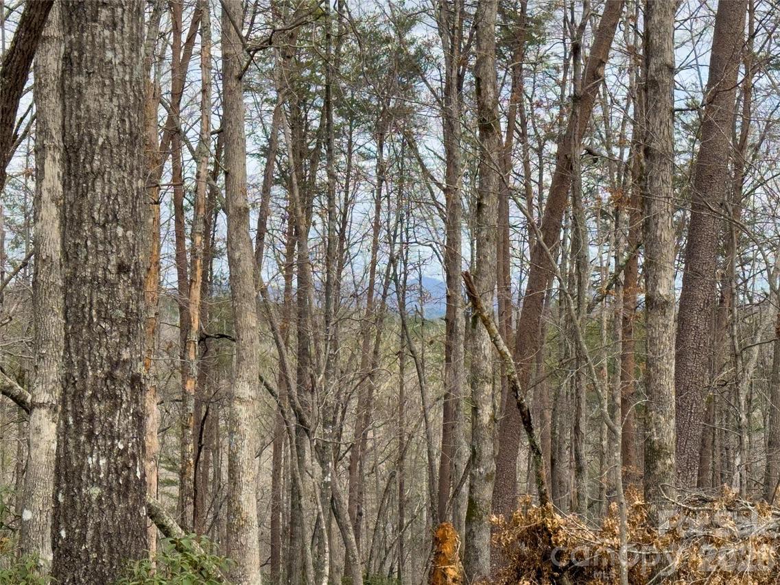 Lots 4-7 Carmel Ridge, Rutherfordton, NC 28139