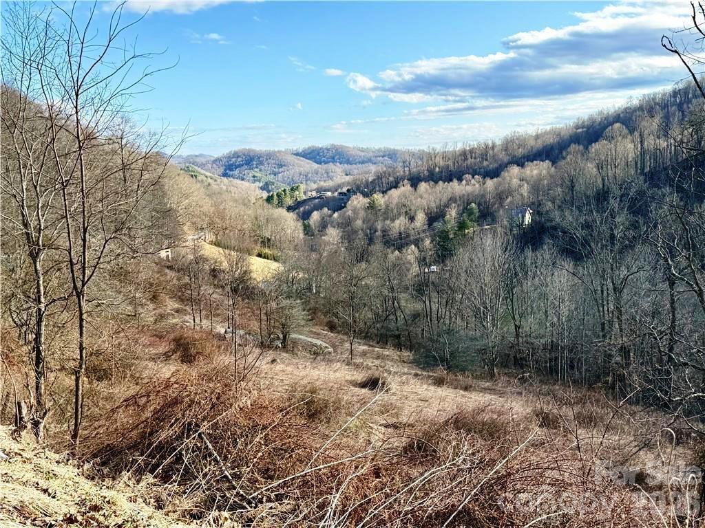 tbd Willard Johnson Rd., Vilas, NC 28692
