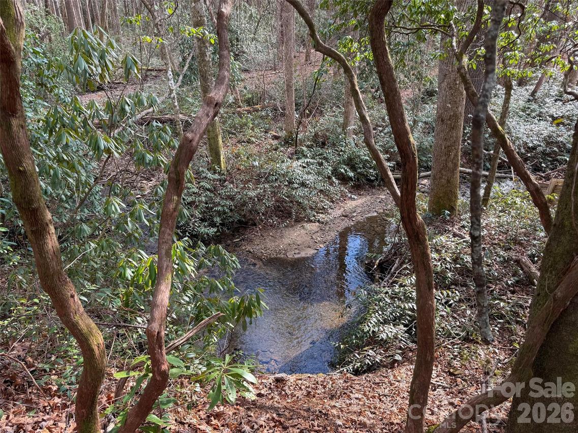 TBD Cherrywood Ln. #L-12, Pisgah Forest, NC 28768