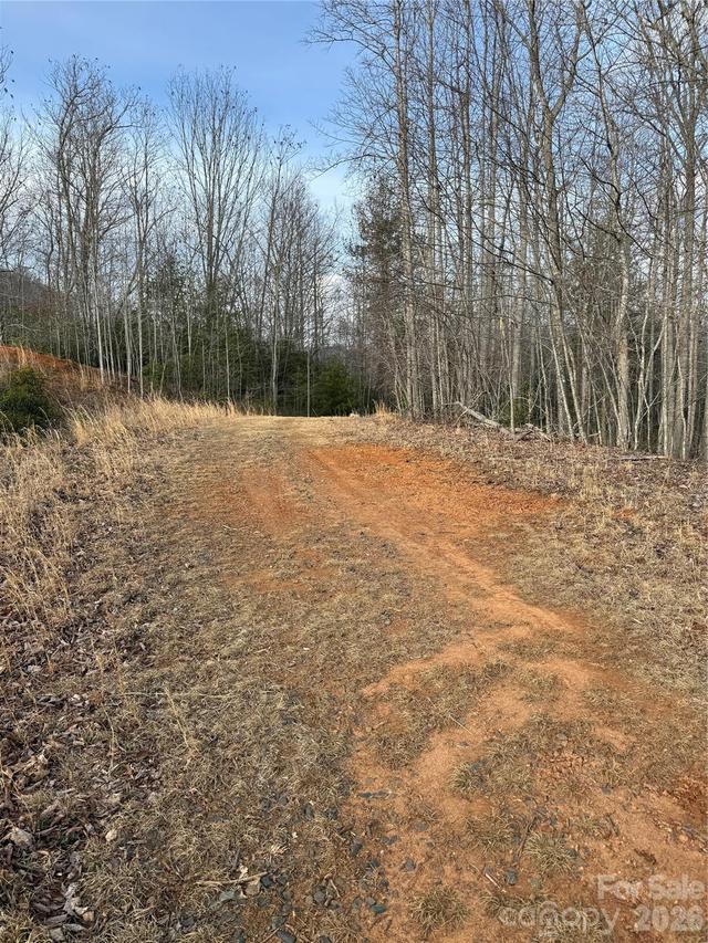 White Fawn Dr., Spruce Pine, NC 28777