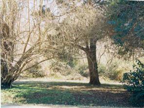 2421 Forest Dr. #Lot13, Charlotte, NC 28211