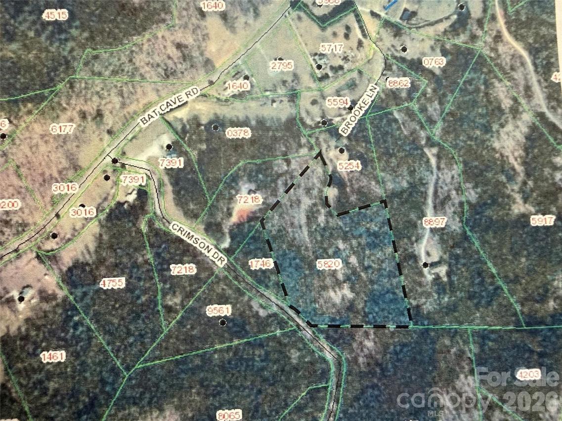 V/L Bat Cave Rd., Old Fort, NC 28762