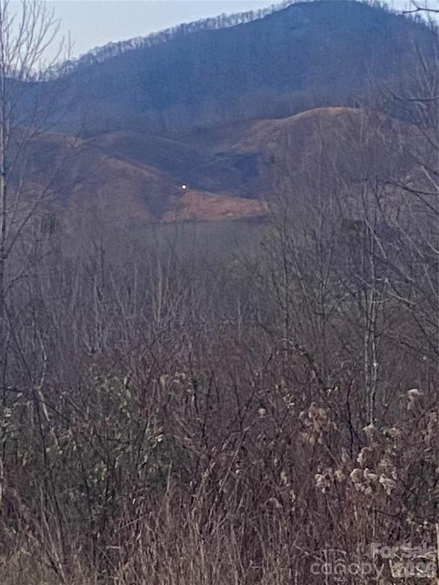 100 Culvin Creek Rd., Marshall, NC 28753