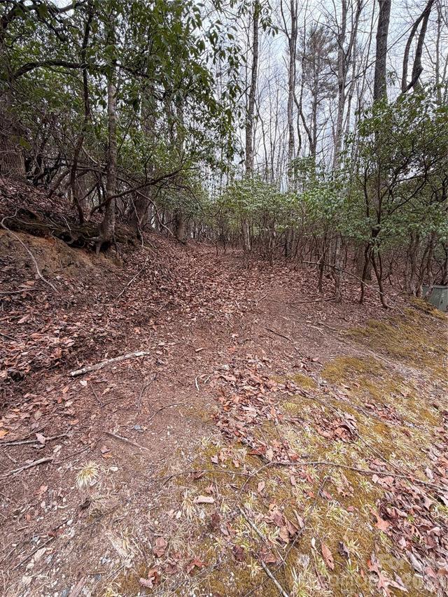 TBD Tsisqua Cir. #66/05, Brevard, NC 28712
