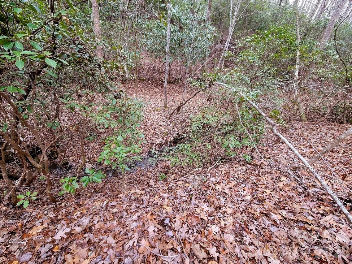 Birddog Blvd. #328, Lake Lure, NC 28746