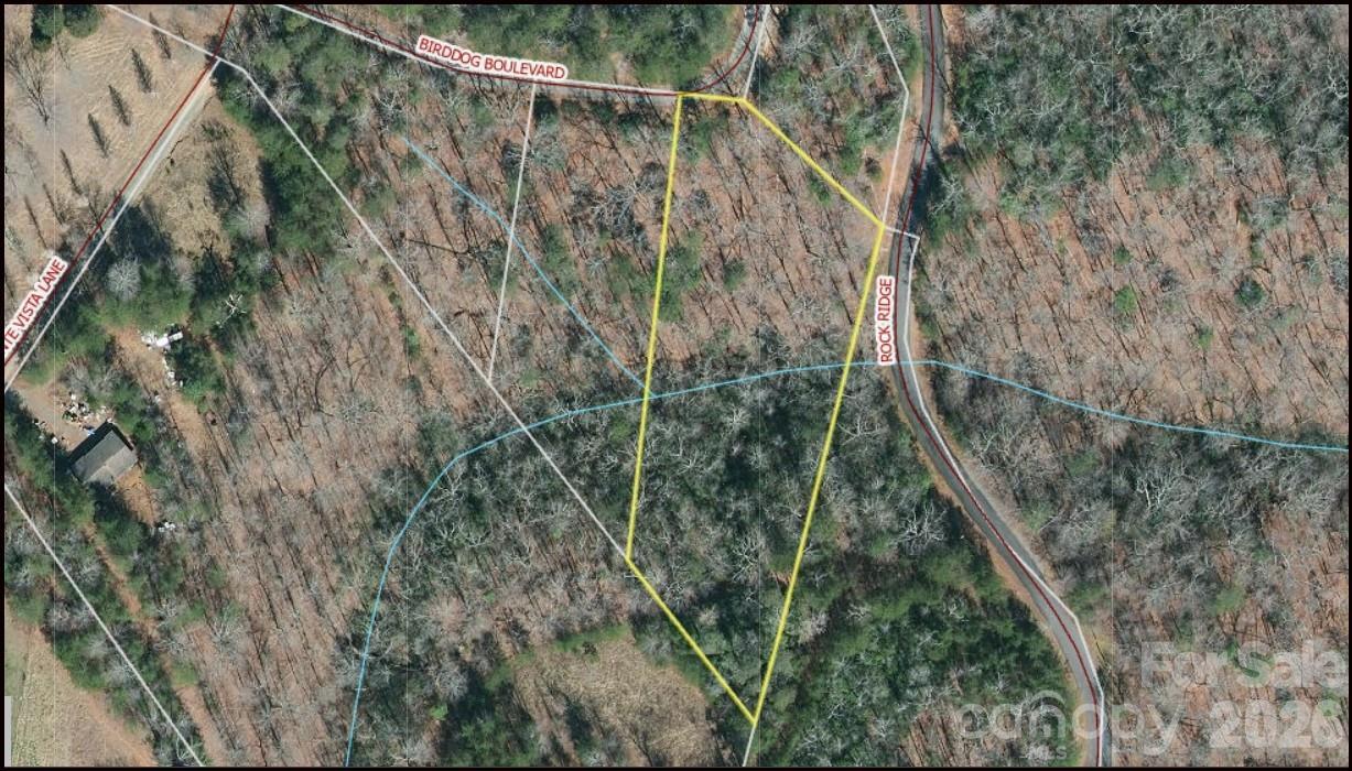 Birddog Blvd. #328, Lake Lure, NC 28746