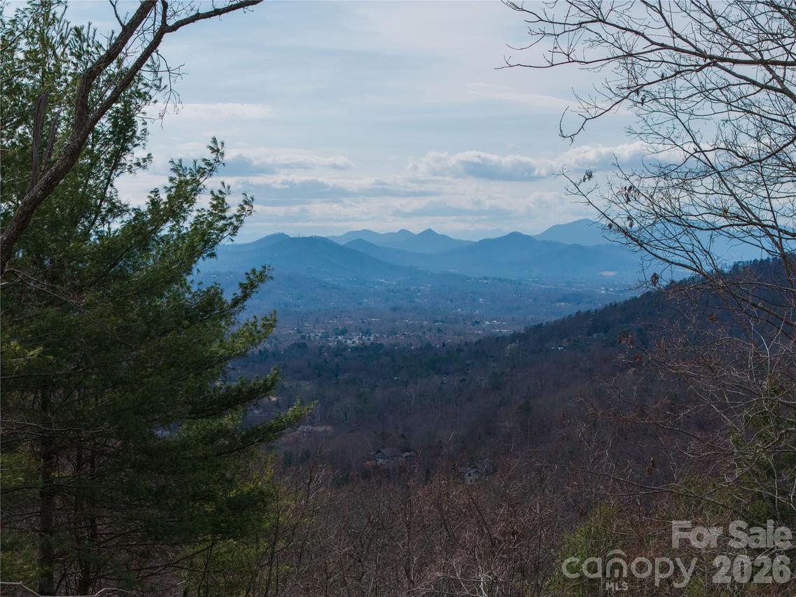 000 Rambling Ridge Rd. #16, Asheville, NC 28804