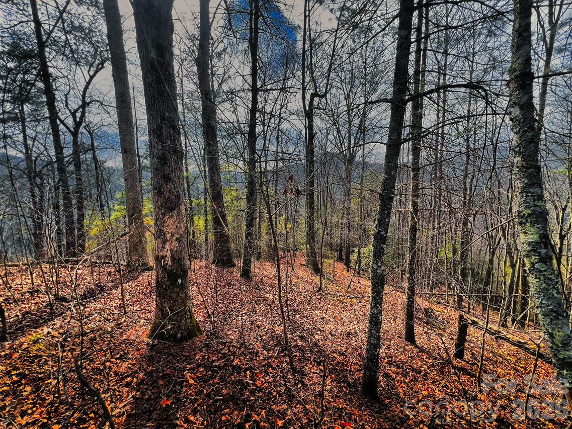 232 Thorncliff Rd. #82, Marshall, NC 28753