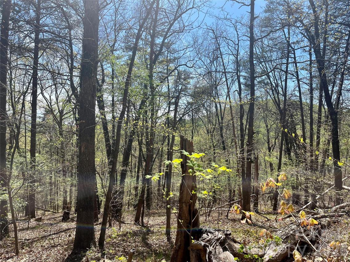 Pilgrim Church Rd., Hiddenite, NC 28636