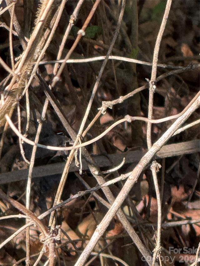 000 Todd Dr., Concord, NC 28025