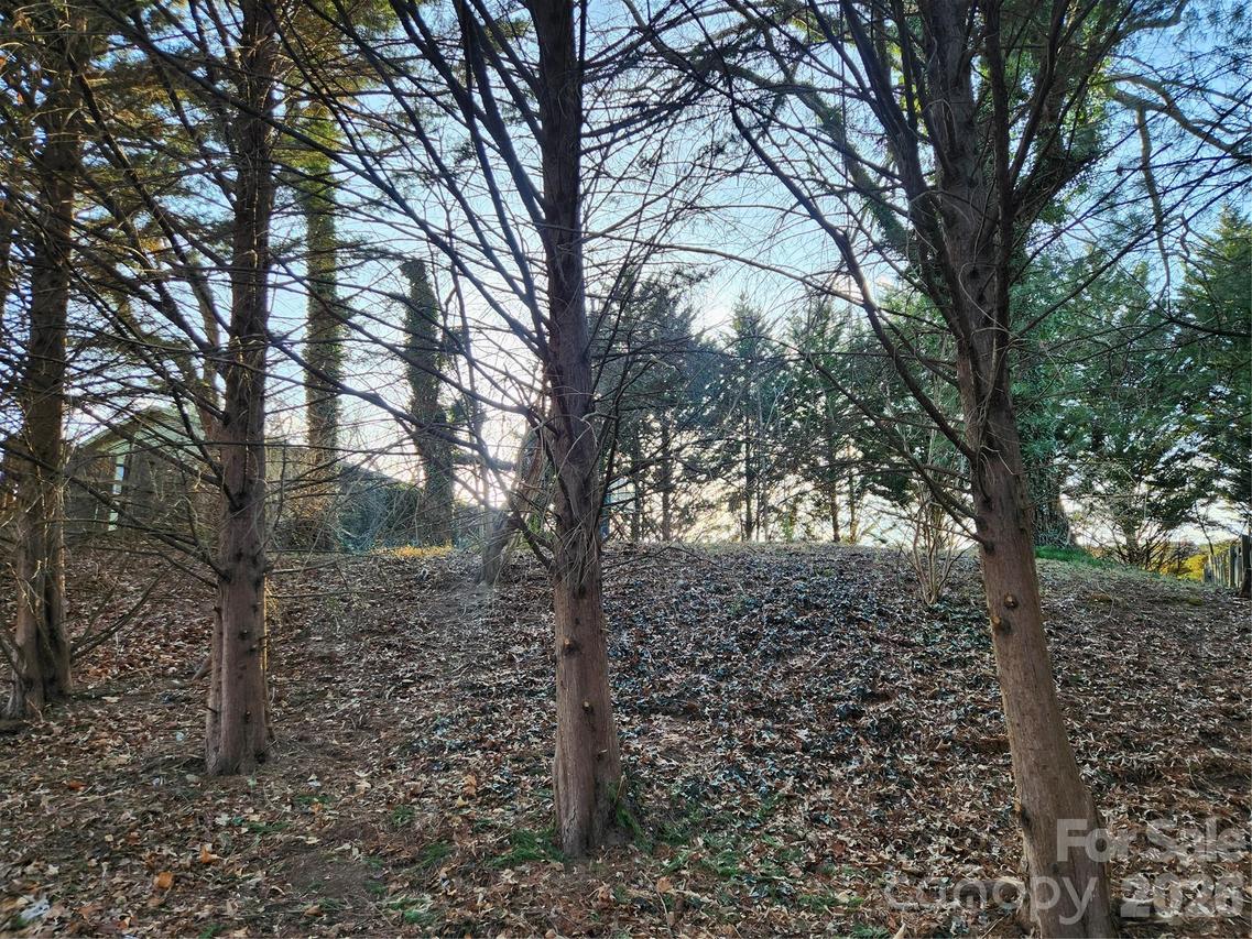 8 John St., Asheville, NC 28801