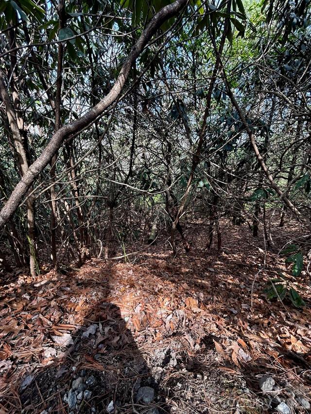 Lot 38 High Peak Rd., Hendersonville, NC 28739