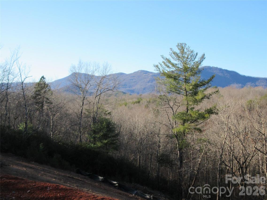 Levi Rd., Columbus, NC 28722