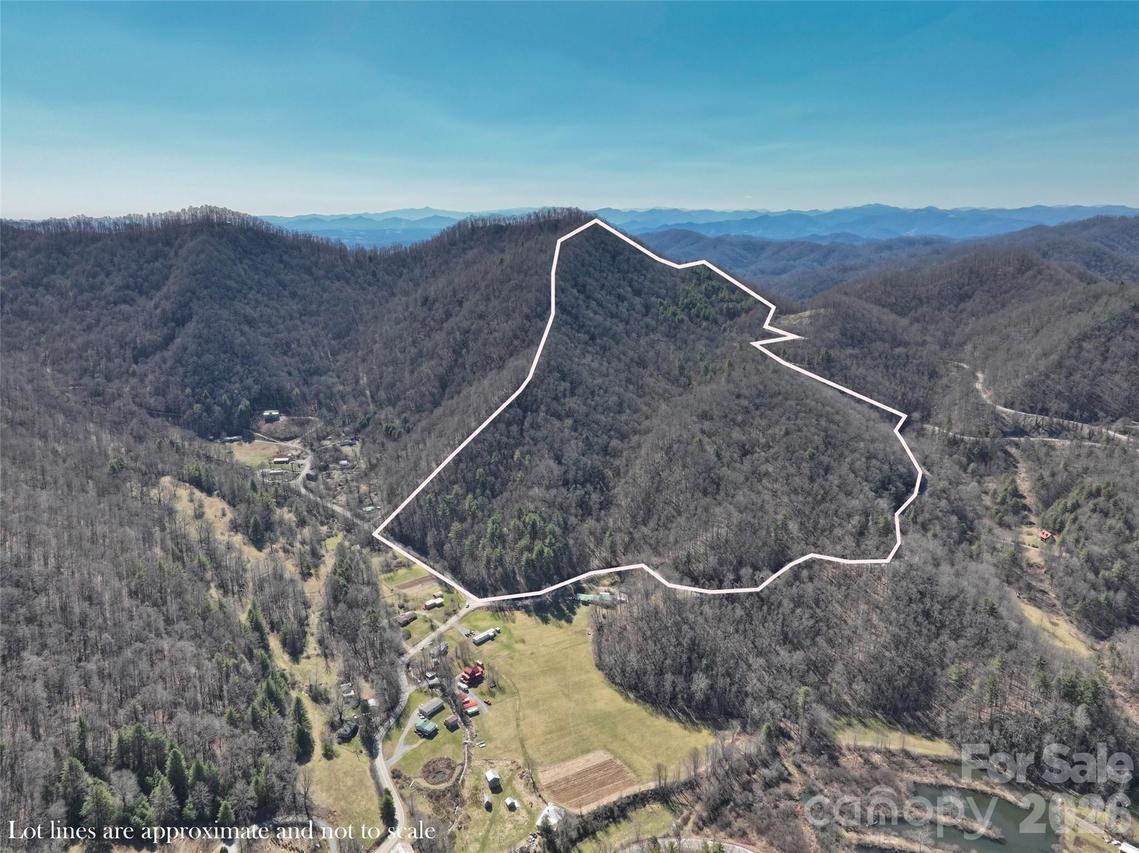0000 Grapevine Rd., Marshall, NC 28753