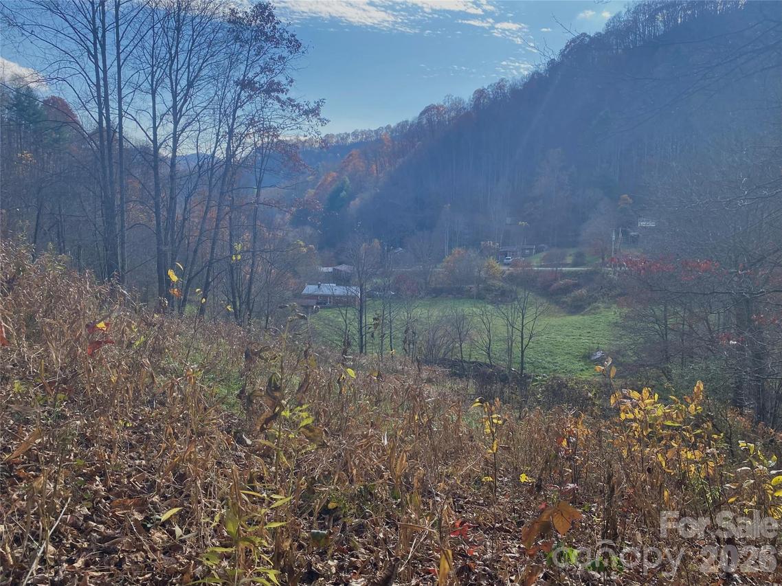 00 Foster Creek Rd., Marshall, NC 28753