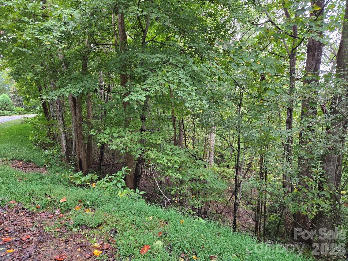 Waterside Dr., Lake Lure, NC 28746