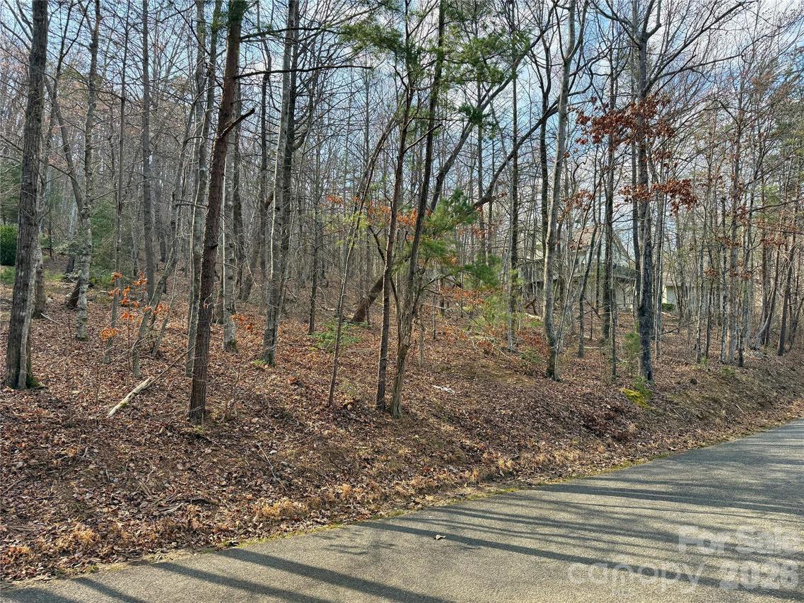 Hummingbird Rd. #275, Lake Lure, NC 28746