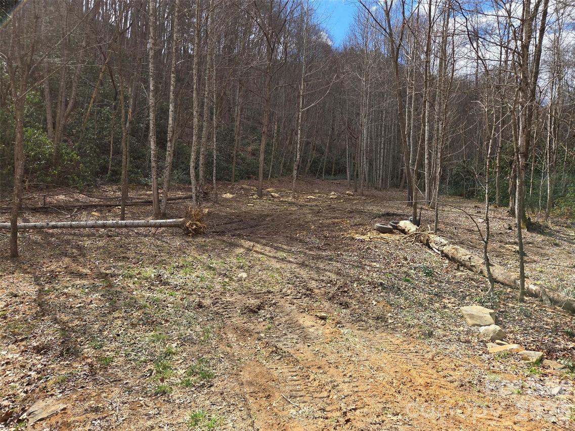 00 Laurel Branch Rd., Waynesville, NC 28785