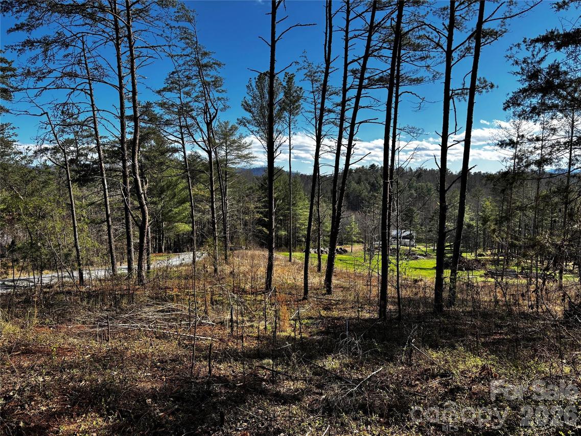 99999 Pine Forest Dr. #B2, Weaverville, NC 28787