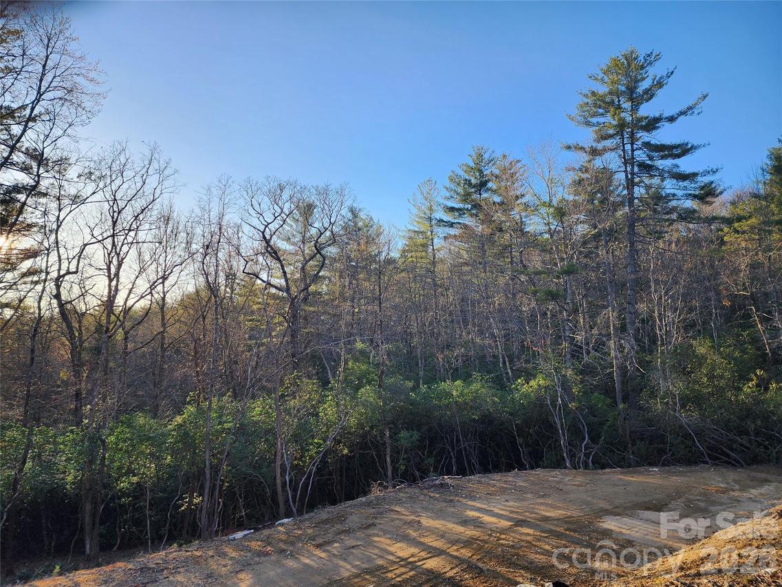 000 Bulling Creek Rd., Hendersonville, NC 28739