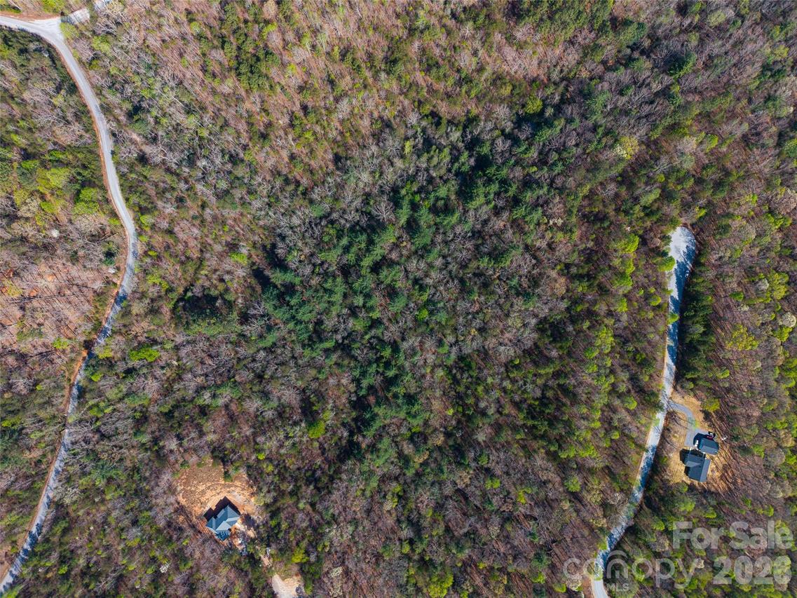 Tayberry Dr., Nebo, NC 28761