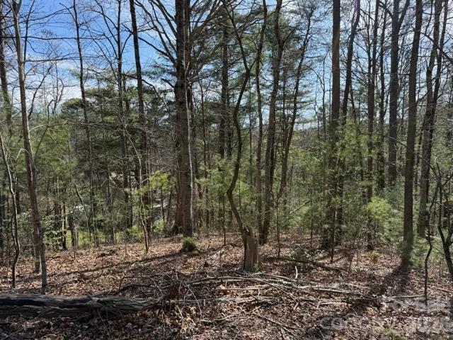 2 Frontier Ct., Asheville, NC 28805