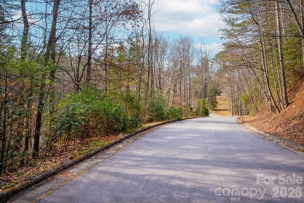 Lot 13 Deerlake Dr. #13, Brevard, NC 28712