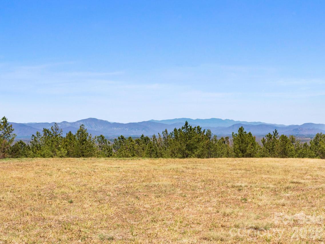 TBD Williams Loop, Columbus, NC 28722