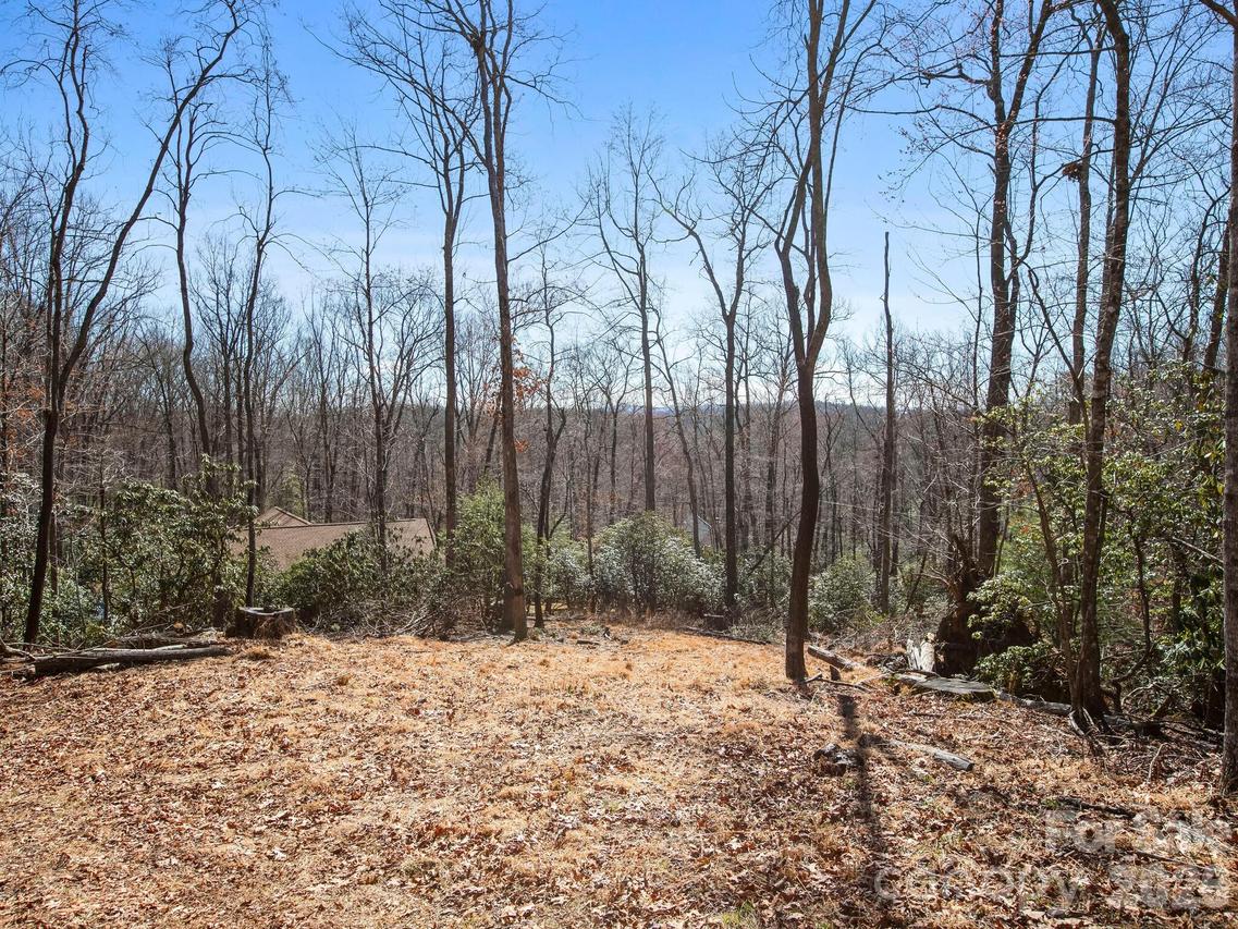 Alpen Rose Way #2, Mills River, NC 28759